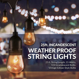 Newhouse Lighting Outdoor String Lights with Hangi
